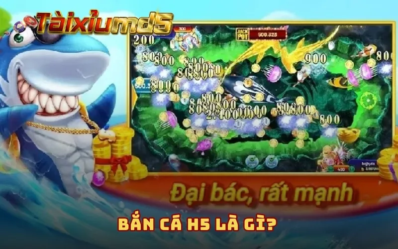 Bắn cá H5 là gì?