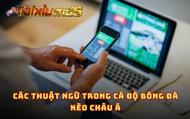 Các thuật ngữ trong cá độ bóng đá kèo Châu Á