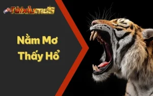 Nằm Mơ Thấy Hổ Mang Điềm Gì? Hãy Khám Phá Cùng Tài Xỉu MD5